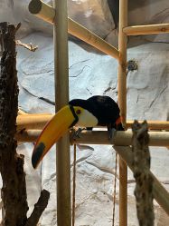 -Zoolung Zoolung动物主题公园(海信广场店)