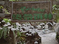 -青青世界