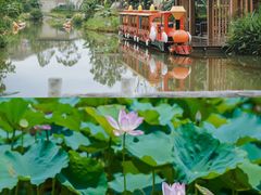 -江门古劳水乡旅游区