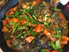 -生态苑农庄(十里画廊遇龙河店)