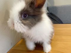 -小意思咖啡店(草桥店)