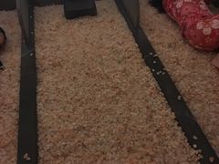-重庆南山海昌汤都