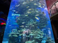 -泉城欧乐堡海洋极地世界