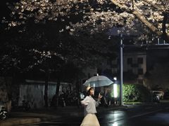 -武汉大学-樱园