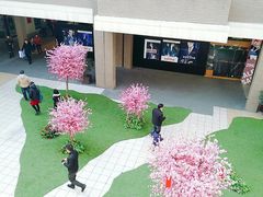 -宁波杉井奥特莱斯广场