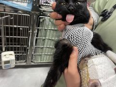 -达爱动物医院·犬猫分区·CT·复杂眼科(远洋山水分院)
