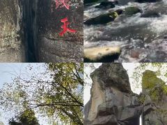 -五营红松林海景区