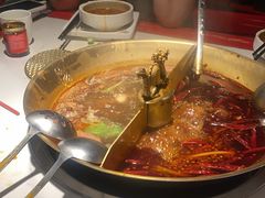 -小龙翻大江文化火锅(宽窄店)