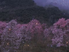 -九皇山景区