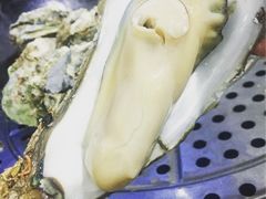 -蚝专家(北滘店)