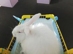 -成都失恋馆