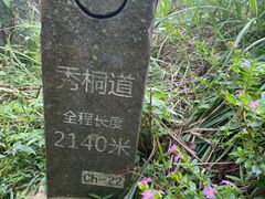 -梧桐山风景名胜区