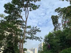-狐尾山公园