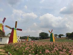 -松山湖梦幻百花洲