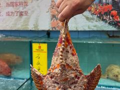 -有腥气私房菜·寻味顺德