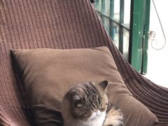 -参差咖啡(水果湖公园店)