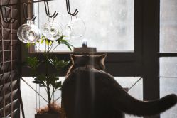 -优刻西服西装定制(金轮国际广场店)