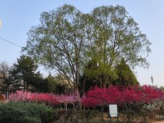 -元大都城垣遗址公园