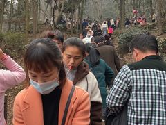 -冶父山国家森林公园