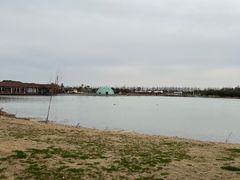 -上海都市菜园