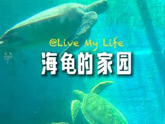 -广东惠东海龟国家级自然保护区