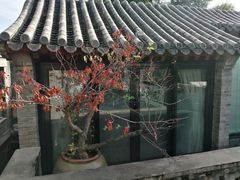 -糖房咖啡(南锣鼓巷店)