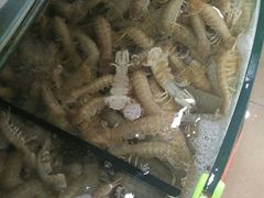 -聚德福海鲜家常菜(刘庄店)