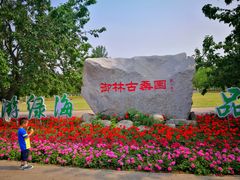 -御林古桑园