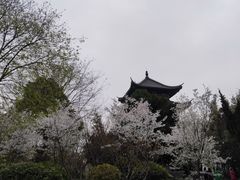 -堤角公园