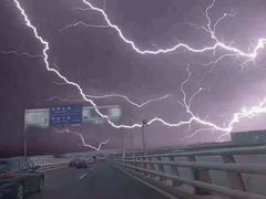 -猫咪博物馆(顶澳仔猫街店)