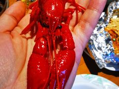 清蒸富贵虾-0574龙虾的故事(东裕店)