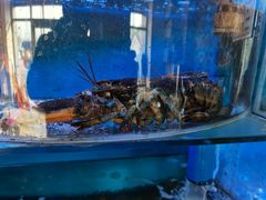 -鼓歌海鲜舫·手抓海鲜(大学城店)
