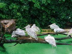 -珠海长隆海洋王国