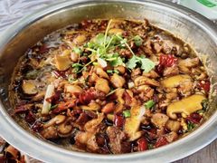 -食神又名厕所兔