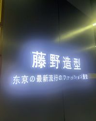 点击看大图 -藤野造型