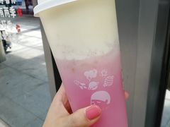 多肉粉荔-喜茶(佛山南海万科广场店)