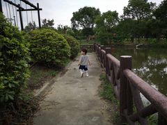-金山农民画村-枫泾波兰倒置屋
