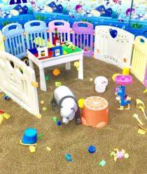 -佳贝爱益智主题儿童乐园(乐尔乐旗舰店)