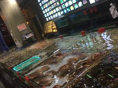 -渔傅·蓝海岸霞浦海鲜(正祥店)