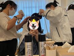-不凡脑禅境·养生·舒压调理SPA(华发世纪城店)