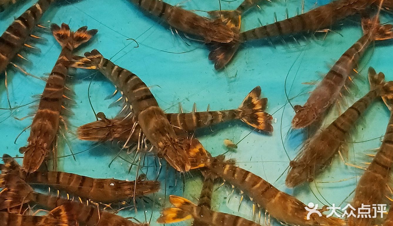 【广海🦐海鲜】