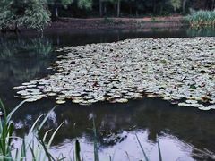 -钟山体育运动公园