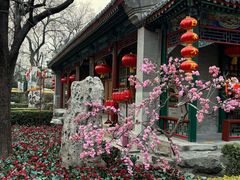 -白家大院·王府宫廷菜(苏州街店)