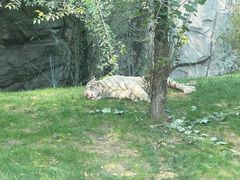 -北京野生动物园