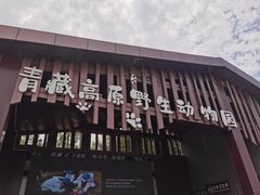 -青藏高原野生动物园