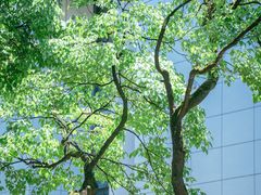 -苏州公园(双塔街道)