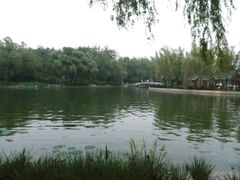 -青年湖公园水上世界