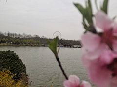 -宜兴龙背山森林公园