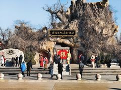 -大槐树寻根祭祖园