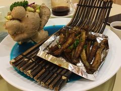 百鸽鱼-益利大酒楼(井岸店)